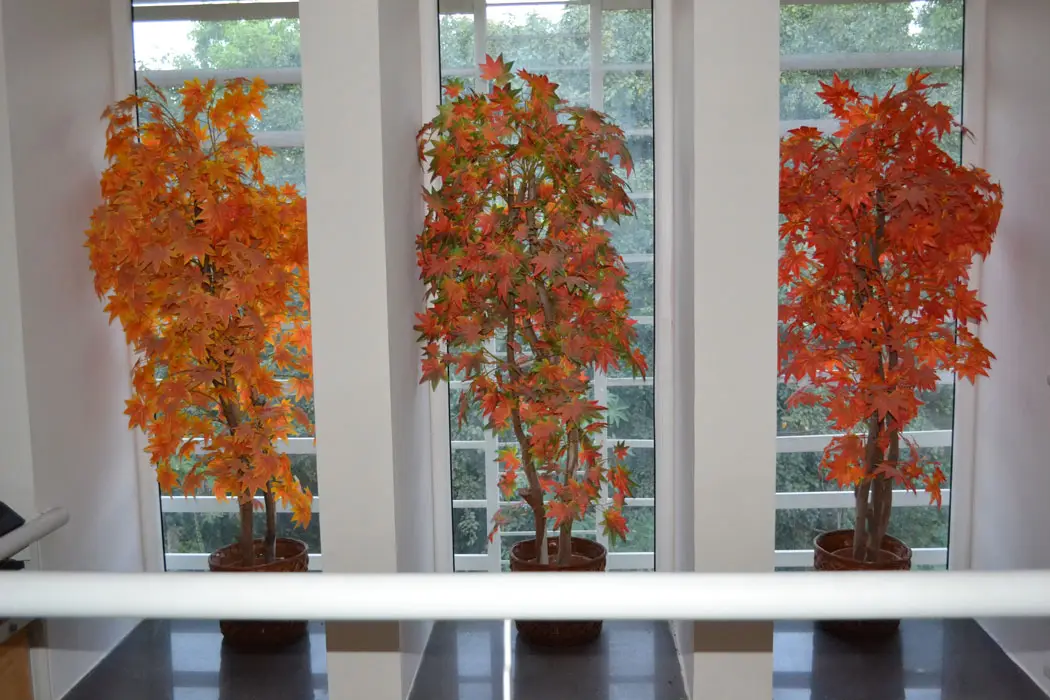 Interior design project 009 CoconutGroove Horamavu 3BHK image 1 - TouchWood Studio Bangalore